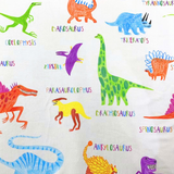 Children's PJ Set Dinosaur