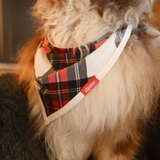 Hagesmæk Tartan Dreams Bandana til kæledyr