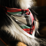 Hagesmæk Tartan Dreams Bandana til kæledyr