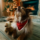 Hagesmæk Red Heritage Pet Bandana