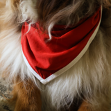 Hagesmæk Red Heritage Pet Bandana