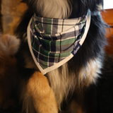 Hagesmæk Green Tartan Pet Bandana