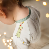 ZIPSTER™ Piccolo Principe Asteroide B-612